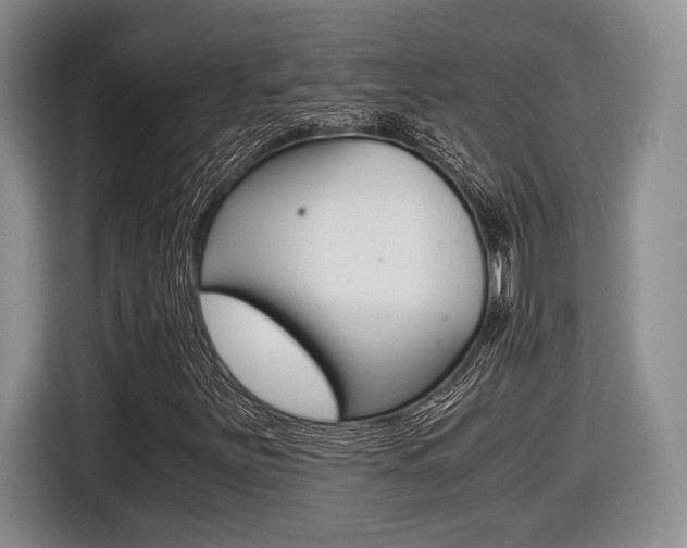 X0000116441251200912081346