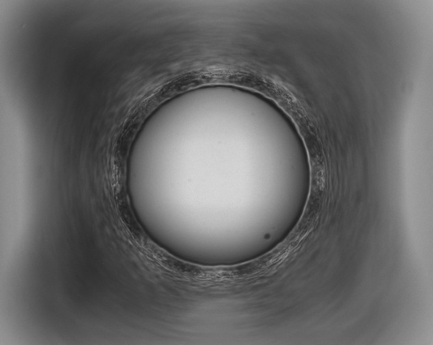 X0000116441253200912081346