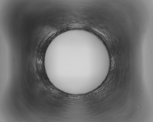 X0000116441254200912081346