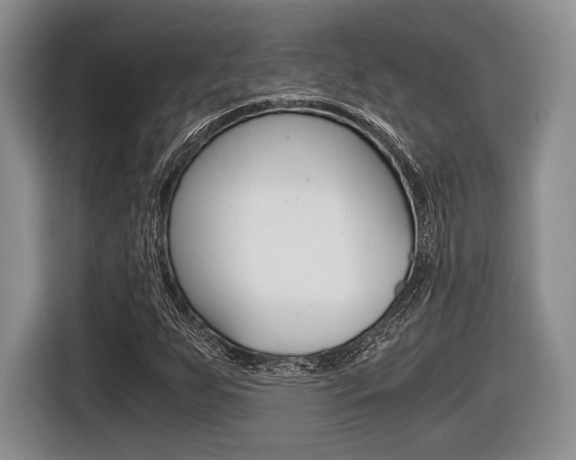 X0000116441255200912081346
