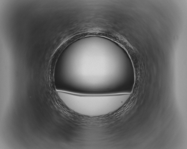 X0000116441256200912081346