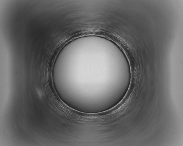 X0000116441257200912081346