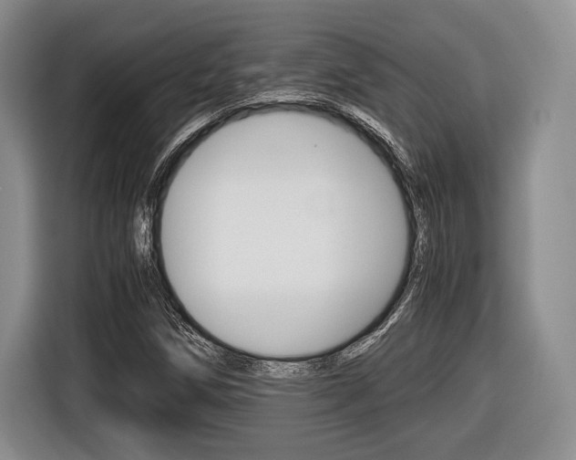 X0000116441258200912081346
