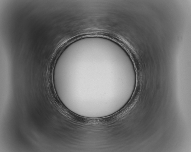 X0000116441259200912081346