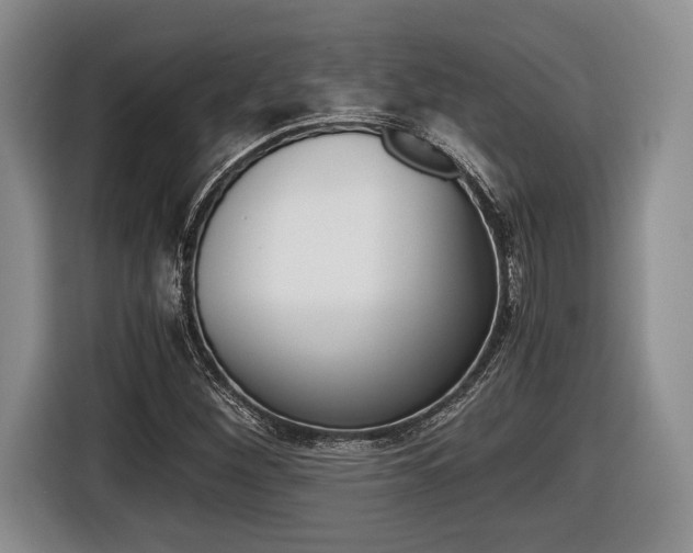 X0000116441260200912081346
