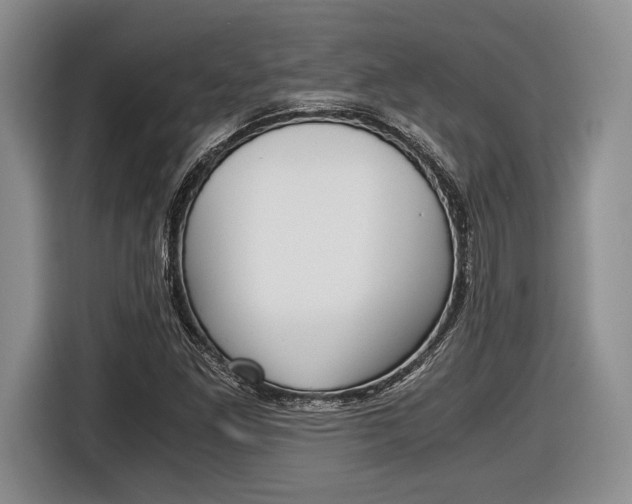 X0000116441261200912081346