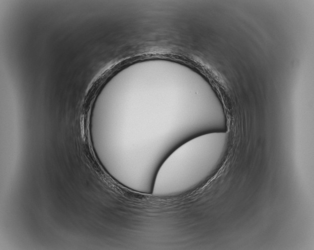 X0000116441262200912081346