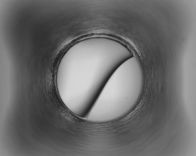 X0000116441263200912081345