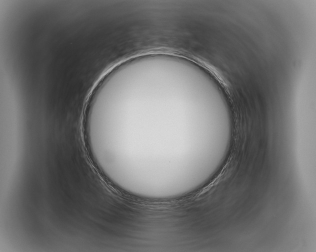 X0000116441264200912081345