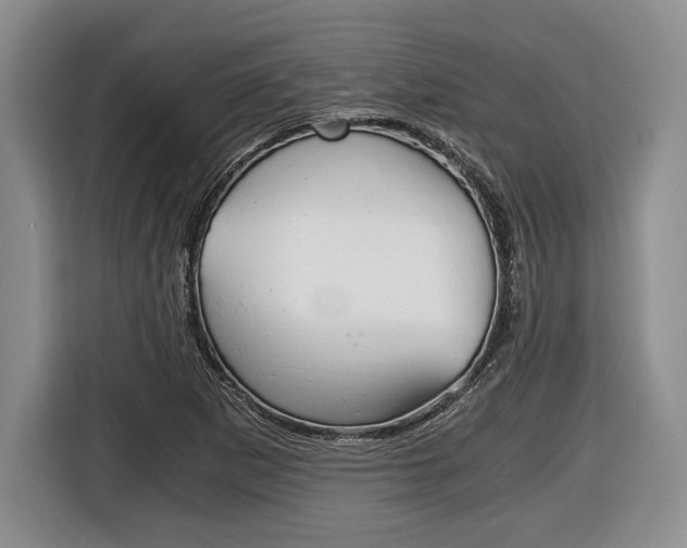 X0000116441265200912081345