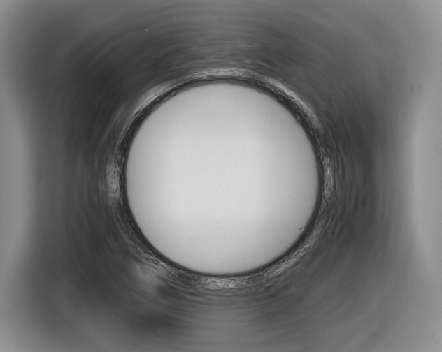 X0000116441266200912081345