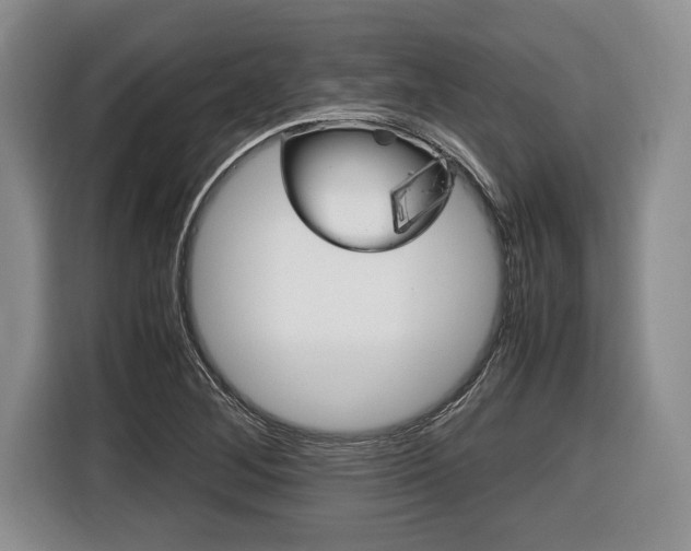 X0000116441268200912081345