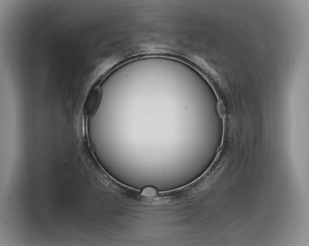 X0000116441269200912081345