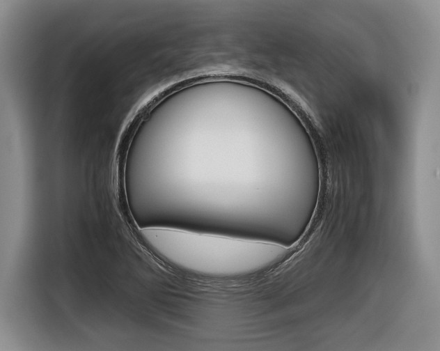 X0000116441270200912081345