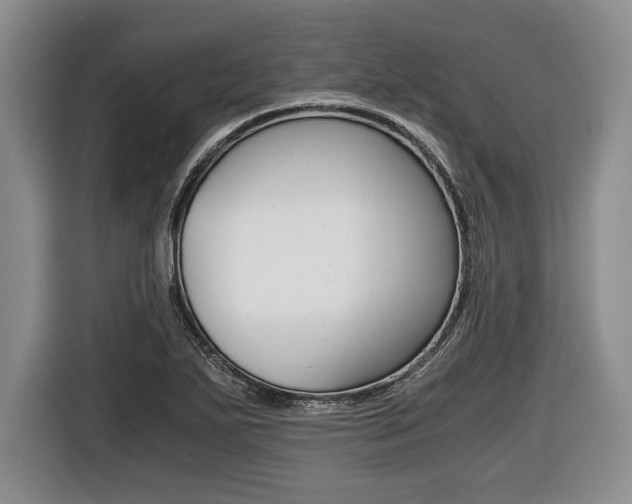 X0000116441271200912081345