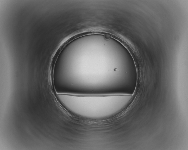 X0000116441272200912081345
