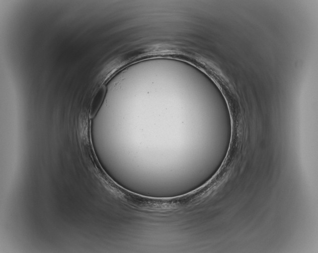 X0000116441273200912081345