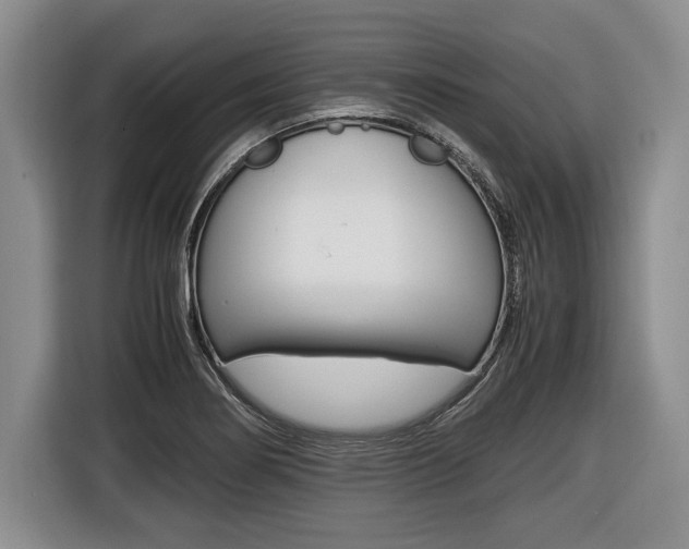 X0000116441274200912081345