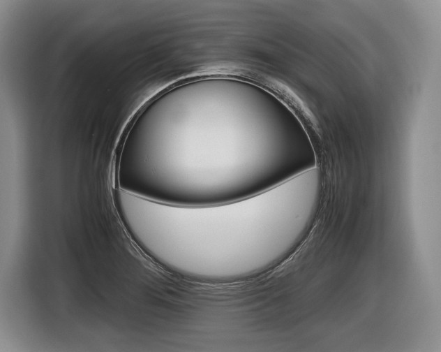 X0000116441276200912081345
