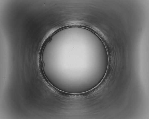 X0000116441277200912081345