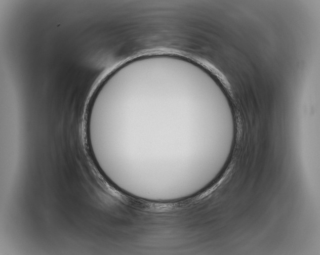 X0000116441278200912081345