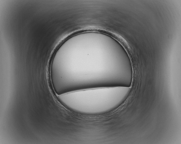 X0000116441279200912081345
