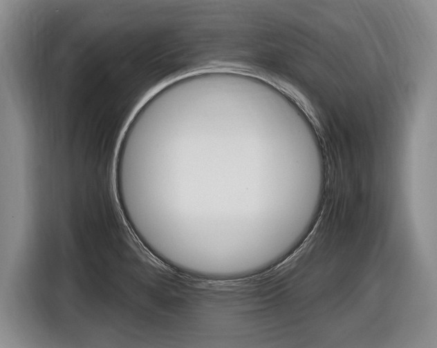 X0000116441280200912081345