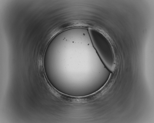 X0000116441281200912081345