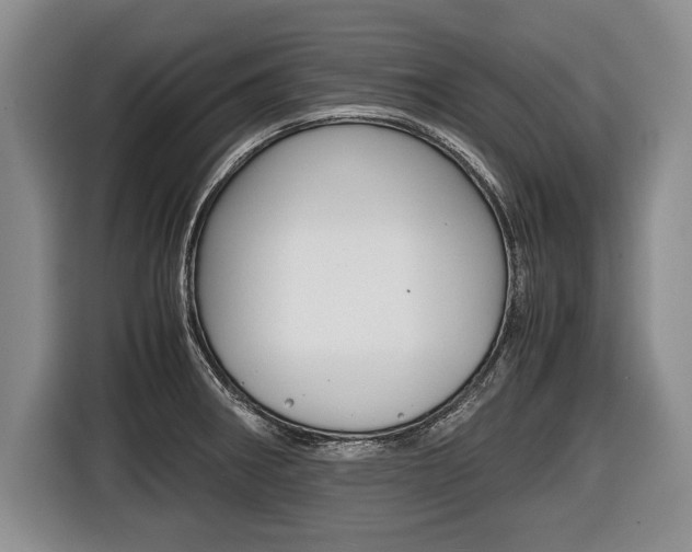 X0000116441282200912081345