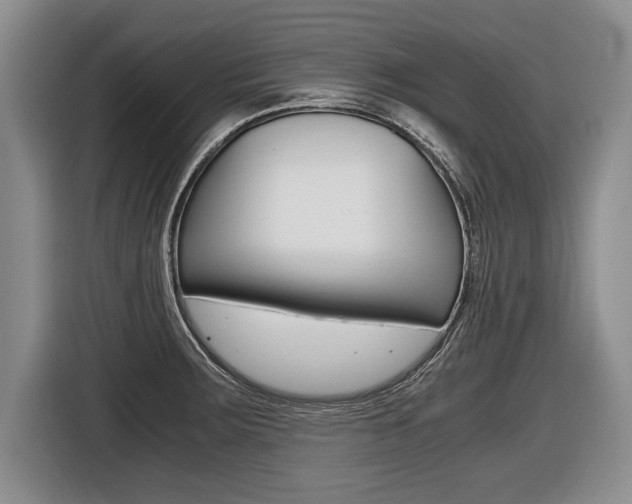 X0000116441283200912081345