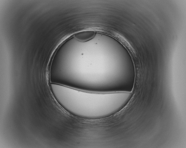 X0000116441284200912081345