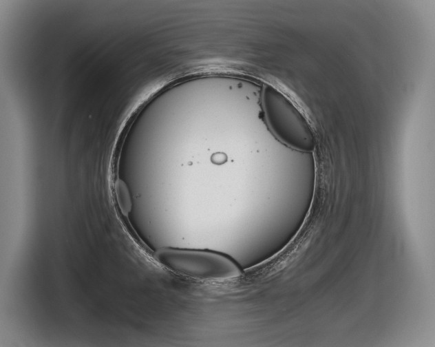 X0000116441285200912081345