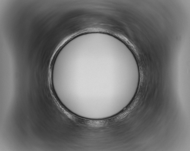 X0000116441286200912081345