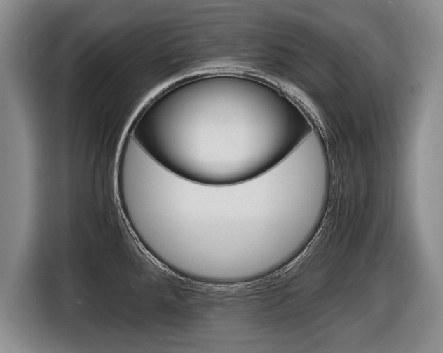 X0000116441288200912081345