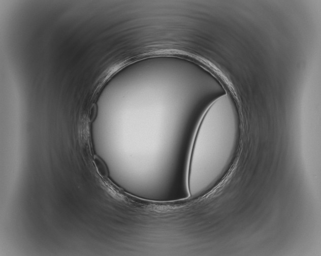 X0000116441289200912081345
