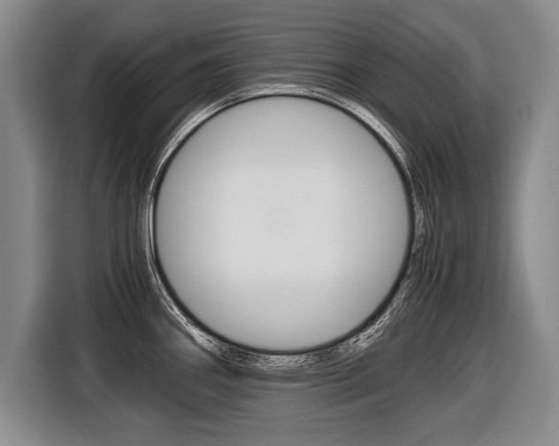 X0000116441290200912081345