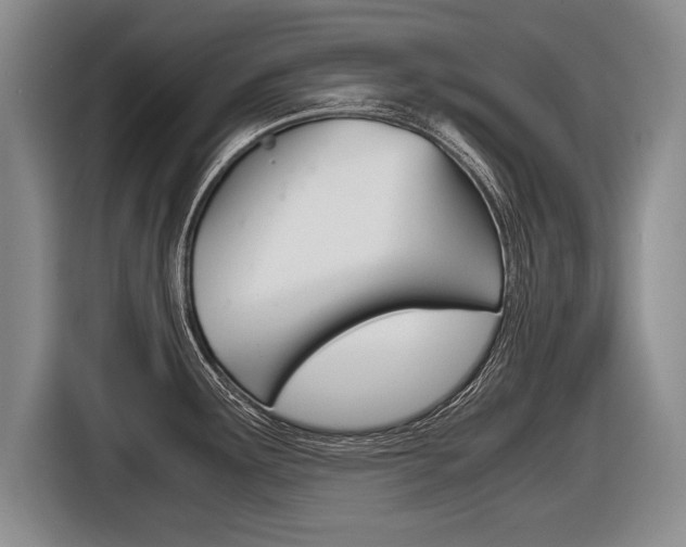 X0000116441291200912081345