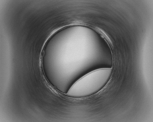 X0000116441292200912081345