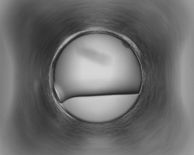 X0000116441295200912081345