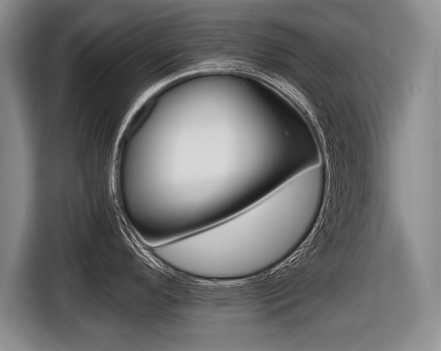 X0000116441296200912081345