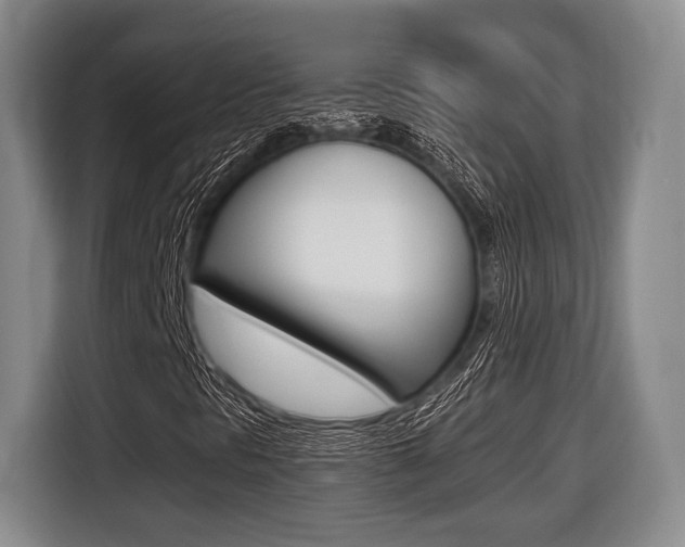 X0000116441297200912081344