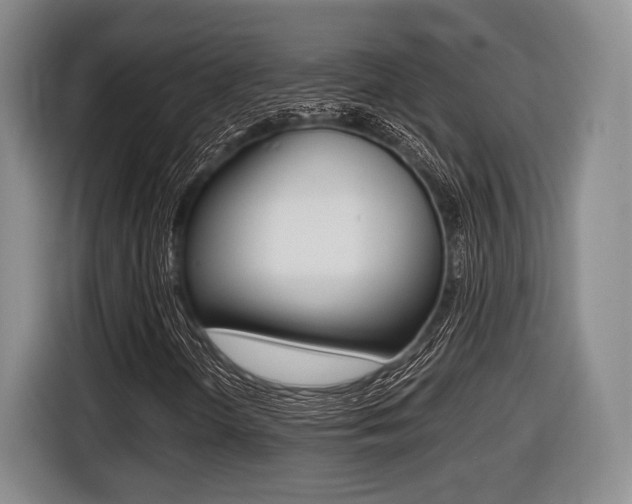 X0000116441298200912081344