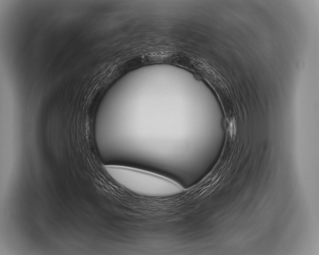 X0000116441299200912081344