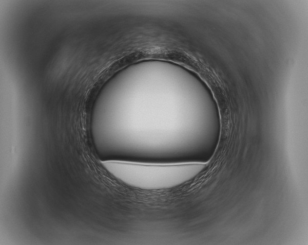 X0000116441301200912081344