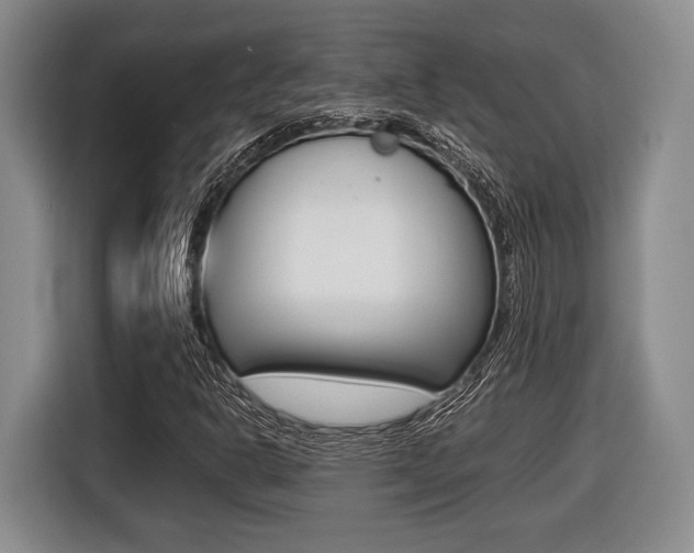X0000116441302200912081345