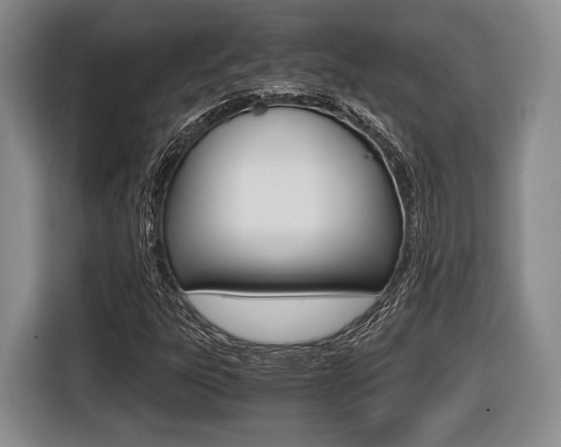 X0000116441303200912081345