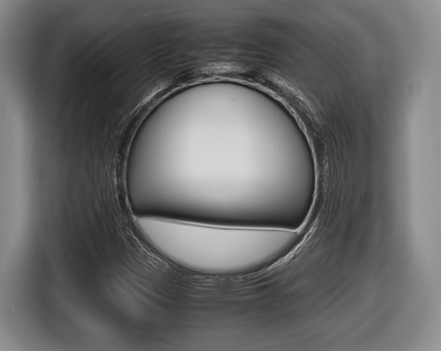 X0000116441305200912081345