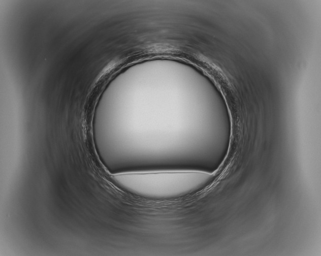 X0000116441306200912081345