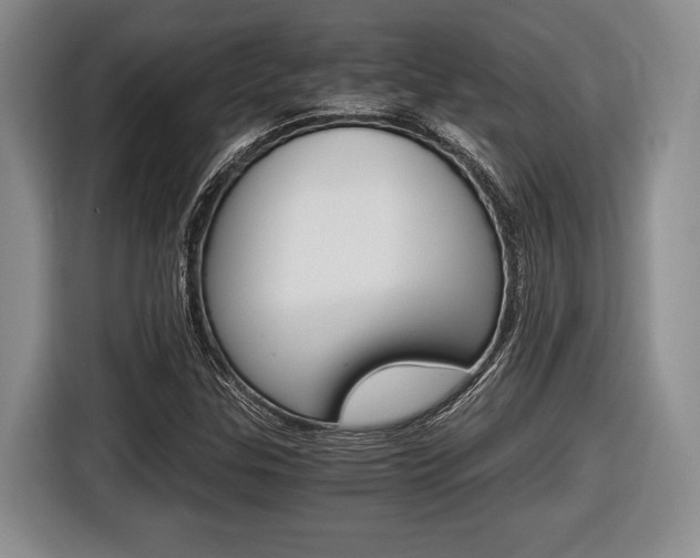 X0000116441307200912081345