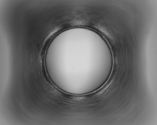 X0000116441309200912081345